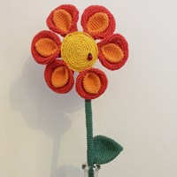 /p/a/pakket-bloem-6.jpg