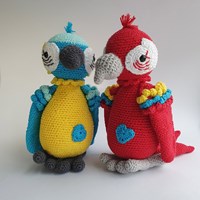 Papegaai Felipe Garenpakket - Exclusief Patroon-2