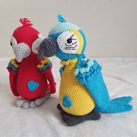 Papegaai Felipe Garenpakket - Exclusief Patroon-3