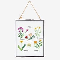 Borduurpatroon Botanische Medicijn Planten