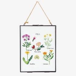 Borduurpatroon Botanische Medicijn Planten