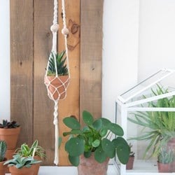 Macramé Patroon Durable Plantenhanger