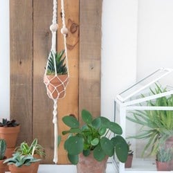 Macramé Patroon Durable Plantenhanger