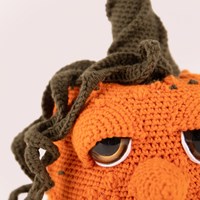 Amigurumi Herfstfestival - Pompoen Pip - CB's Creations Garen- en Haakpakket