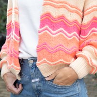 Felt-it Chevron vest breipakket 045