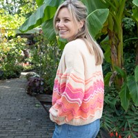 Felt-it Chevron vest breipakket 045