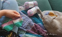 summer sock along