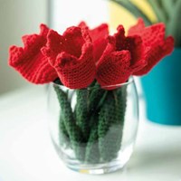Dikkie Dik Tulp Garenpakket-2
