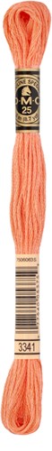 DMC 117MC Mouliné Spécial Borduurgaren 8m 3341