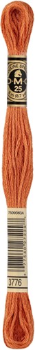 DMC 117MC Mouliné Spécial Borduurgaren 8m 3776