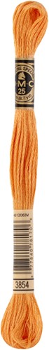 DMC 117MC Mouliné Spécial Borduurgaren 8m 3854