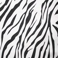 Hobbytas Zebra-2